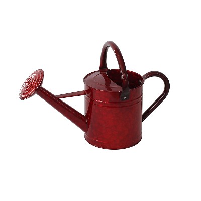 Garden Watering Can with Anti-rust Powder Coating