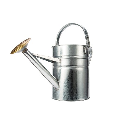 China Supply Cheap Metal galvanized garden watering can