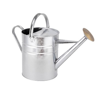 10 Litre Traditional Galvanised Watering Can