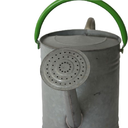 10L Galvanised Watering Can