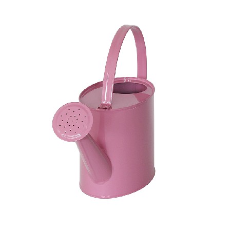 3L Small Galvanized Short Oval Watering Can
