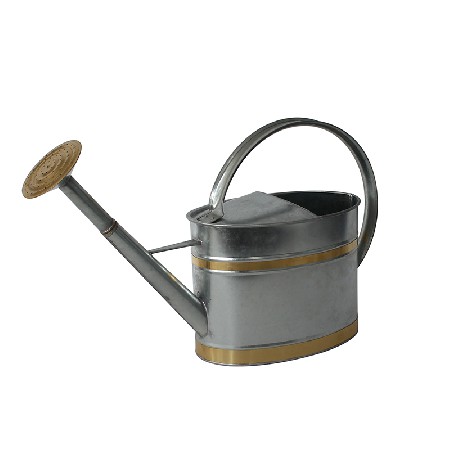 Traditional Galvanised Metal Watering Can