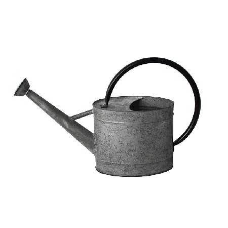 Galvanized Metal Shower Pot Potted Plants Watering Can